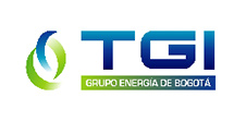 logo_TGI.jpg