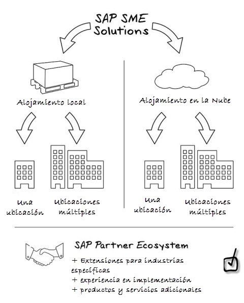SAP ecosystem